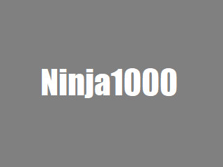 bt-cu-ninja1000.jpg