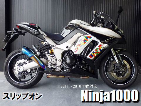 bt-ninja1000-silpon.jpg