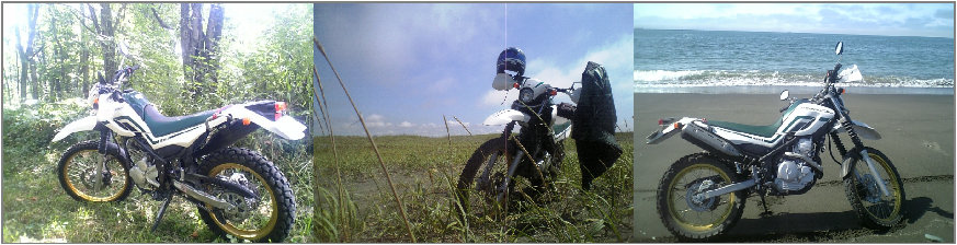bike007004.jpg