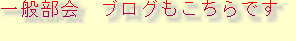 kumavb001009.jpg
