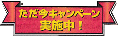 塗装工事キャンペーン