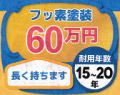 フッ素塗装