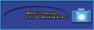 Manmo's Homepage Hand-made Degitalscope system